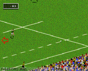 Rugby World Cup 1995 Screen Shot 2