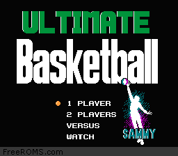 Ultimate Basketball Screen Shot 1