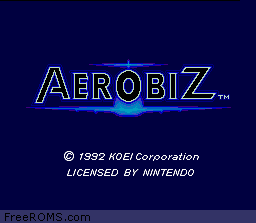 Aerobiz Screen Shot 1