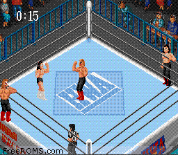 Super Fire Pro Wrestling Screen Shot 2