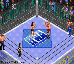 Super Fire Pro Wrestling III - Final Bout Screen Shot 2